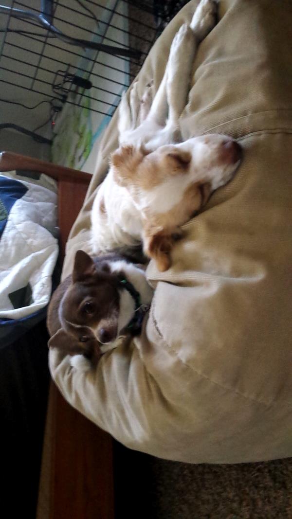 /Images/uploads/Humane Society of Utah/HSUCalendar/entries/943thumb.jpg